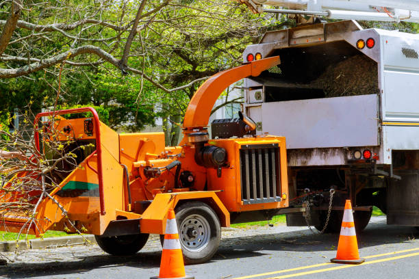 Best Tree Preservation Services  in Lynden, WA